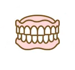 義歯（入れ歯）